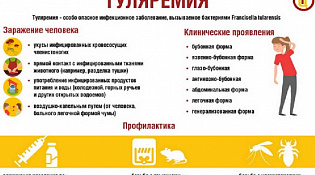 Туляремия. Памятка для населения.