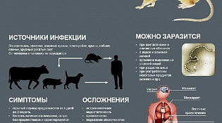 Лептоспироз