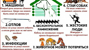 Вниманию владельцев собак!