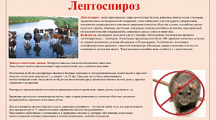 Лептоспироз
