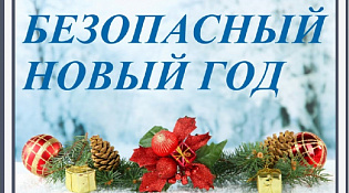 Меры безопасности  в период прохождения новогодних и рождественских праздников. 